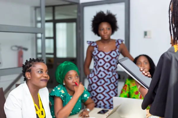 Outsourcing vs Local Delivery: risk analysis for African public‑sector IT